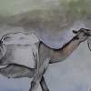 The Camels - Watercolour Paint Paintings - By Betty Akinyi, The Wash Technique With Waterc Painting Artist