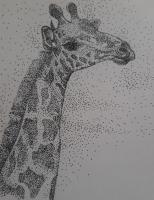 Giraffe - Pen Drawings - By Betty Akinyi, Stippling Using A Catographic  Drawing Artist