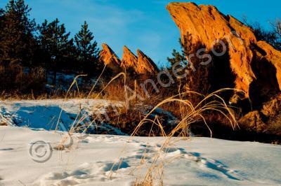 Landscapes - Evening In Roxborough - Digital