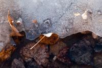 Ice - Digital Photography - By John Anderson, Nature Photography Artist