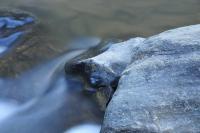 Creek 2 - Digital Photography - By John Anderson, Nature Photography Artist
