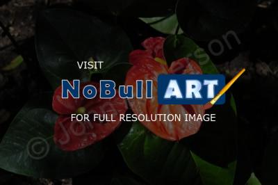 Art - Flower 2 - Digital