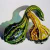 Gourds - Watercolour Paintings - By Julia Patience, Realism Painting Artist