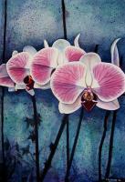 Pink Orchids - Watercolour Paintings - By Julia Patience, Realism Painting Artist