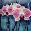Pink Orchids - Watercolour Paintings - By Julia Patience, Realism Painting Artist