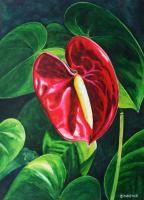 Anthurium - Watercolour And Ink Paintings - By Julia Patience, Realism Painting Artist
