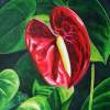 Anthurium - Watercolour And Ink Paintings - By Julia Patience, Realism Painting Artist