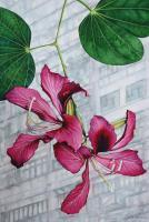 Flower Paintings - Hong Kong Orchid Tree Bauhinia Blakeana - Watercolour