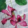 Hong Kong Orchid Tree Bauhinia Blakeana - Watercolour Paintings - By Julia Patience, Realism Painting Artist