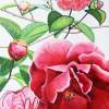 Studies Of Camellia - Watercolour And Ink Paintings - By Julia Patience, Realism Painting Artist