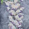 Chinese Wisteria - Acrylic Paintings - By Julia Patience, Realism Painting Artist