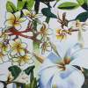 Studies Of Frangipani - Watercolour And Ink Paintings - By Julia Patience, Realism Painting Artist