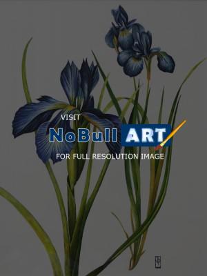 Flower Paintings - Blue Irises - Acrylic Ink