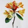 Yellow Azalea - Watercolour Paintings - By Julia Patience, Realism Painting Artist