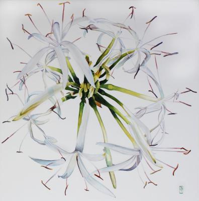 Flower Paintings - Head Of Agapanthus Orientalis - Watercolour