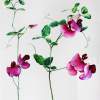 Wild Sweet Peas - Watercolour Paintings - By Julia Patience, Realism Painting Artist