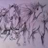 Horses - Pencil Drawings - By M V, Classical Drawing Artist