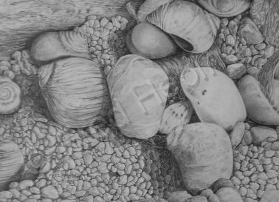 Scandinavian Light - Jaeren Beach Detail - Pencil