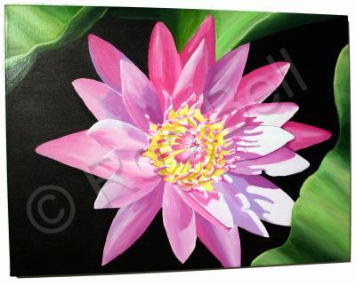 Paintings - Large Flower - Acrylic