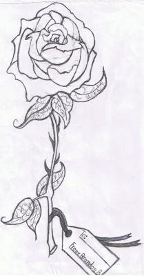 Flowers - The Rose As A Gift - Lead