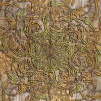 Patterns - Driftwood2 - Digital Painting