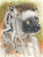 Beautiful Breeds - Wildlife - Agile - Watercolor Enhanced Colored Pe