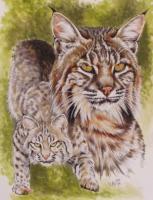 Beautiful Breeds - Wildlife - Brassy - Watercolor Enhanced Colored Pe