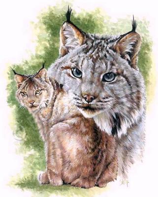 Beautiful Breeds - Wildlife - Brazen - Watercolor Enhanced Colored Pe