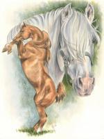 Beautiful Breeds - Equine - Andalusian - Watercolor Enhanced Colored Pe
