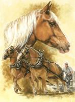 Belgian Draft Horse - Watercolor Enhanced Colored Pe Mixed Media - By Barbara Keith, Realism Mixed Media Artist