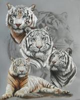 Baron - Graphite Ink Gouache And Water Paintings - By Barbara Keith, Realism Painting Artist