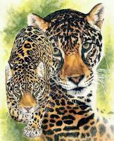 Beautiful Breeds - Wildlife - Compelling - Watercolor Enhanced Colored Pe