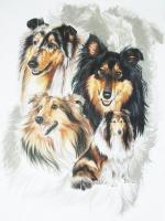 Ghost Series Animals - Collie - Watercolor Enhanced Colored Pe