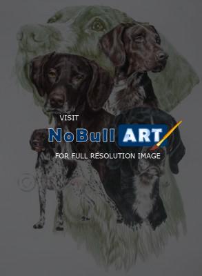 Ghost Series Animals - German Short-Haired Pointer - Watercolor Enhanced Colored Pe