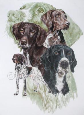 Ghost Series Animals - German Short-Haired Pointer - Watercolor Enhanced Colored Pe