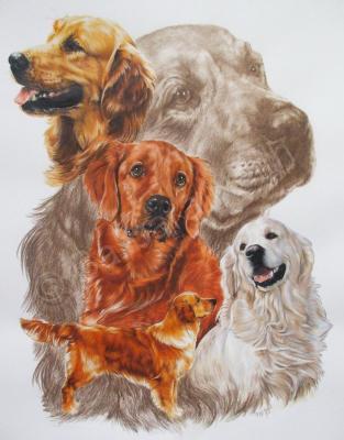 Ghost Series Animals - Golden Retriever - Watercolor Enhanced Colored Pe