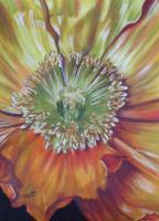 Sunburst - Watercolor Paintings - By Barbara Keith, Realism Painting Artist