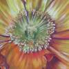 Sunburst - Watercolor Paintings - By Barbara Keith, Realism Painting Artist