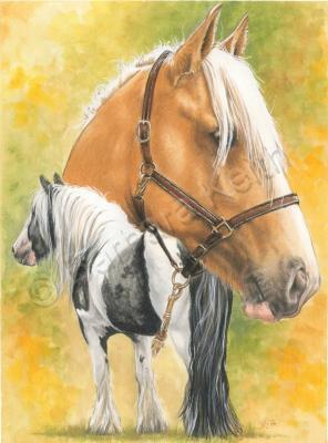 Beautiful Breeds - Equine - Irish Cob - Watercolor Enhanced Colored Pe