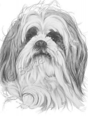 Designer Dogs - Shih-Poo - Graphite