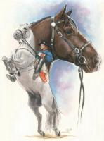 Beautiful Breeds - Equine - Lippizaner - Watercolor Enhanced Colored Pe