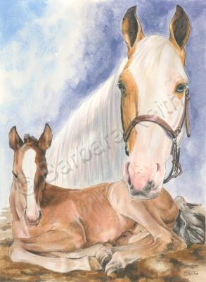 Beautiful Breeds - Equine - Missouri Fox Trotter - Watercolor Enhanced Colored Pe