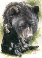 Beautiful Breeds - Wildlife - Ebony - Watercolor Enhanced Colored Pe
