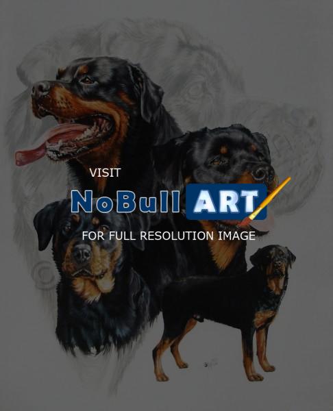 Ghost Series Animals - Rottweiler - Watercolor Enhanced Colored Pe