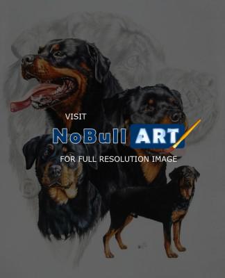 Ghost Series Animals - Rottweiler - Watercolor Enhanced Colored Pe