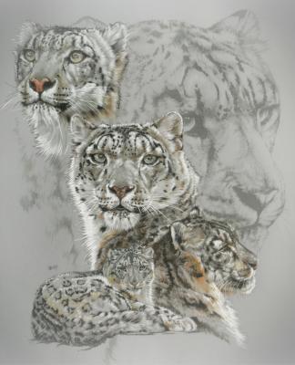 Ghost Series Animals - Captivating - Graphite Ink Gouache And Water