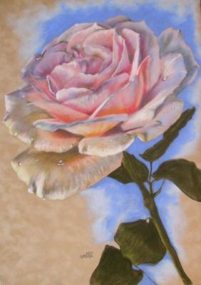 Flower Power - Opalescense - Pastel