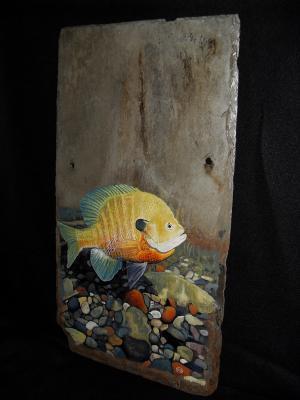 Slate - Bluegill - Acrylic Painting