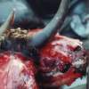 Cattlegrind No2 - Photography Photography - By Travis Mullins, Horror Photography Artist