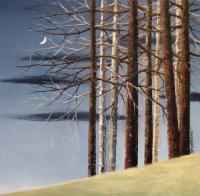 Moonlit Night - Oil Paintings - By Reza Aghajari, Nature Painting Artist
